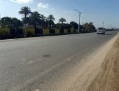 أجواء دافئة وسطوع للشمس.. شاهد حالة الطقس على طريق مصر أسوان الزراعى