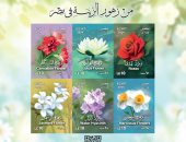 البريد المصرى يصدر بطاقة تذكارية ترصد فيها مجموعة من أبرز "زُهورِ الزِّينَةِ في مِصْرَ"