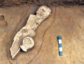 العثور على قبر طفل يعود تاريخه للعصر الحجري الحديث في الهند.. اعرف قصته