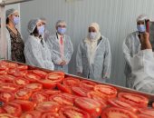 سفير اليابان يفتتح أول وحدة تجفيف الطماطم بالأقصر بالطاقة الشمسية.. فيديو وصور