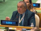 ممثل الجزائر لدى الأمم المتحدة: هدفنا وقف مجازر إسرائيل فى غزة