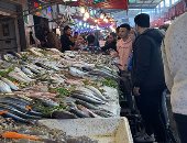 خير البحر.. بورسعيد تنتج شهريا أكثر من 1100 طن أسماك