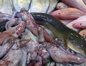 أخطبوط وثعبان.. أغرب الأكلات البحرية فى سوق الأسماك بمحافظة بورسعيد.. فيديو