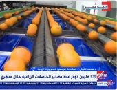 المتحدث باسم الزراعة: مصر الدولة الأولى عالميا في تصدير الموالح للعام الثالث