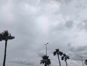 غيوم ونشاط لحركة الرياح ثاني أيام نوة الشمس الكبرى بالإسكندرية.. فيديو 