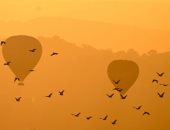 فعاليات كرنفال البالون الطائر فى أستراليا