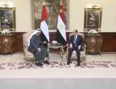 الرئيس السيسى والشيخ بن زايد يبحثان جهود وقف إطلاق النار فى غزة.. فيديو