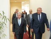 وزير الخارجية يدعو لوقف فورى لإطلاق النار فى قطاع غزة