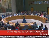 جلسة لمجلس الأمن الدولي للتصويت على مشروع قرار بشأن وقف إطلاق النار في غزة