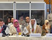 رئيس البرلمان العربى يشيد بخطوات مصر في مجال حماية ونشر ثقافة حقوق الإنسان