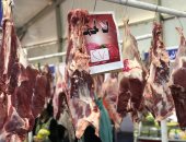 معرض أهلا رمضان بالعمرانية يطرح كيلو اللحم البلدى بـ270 جنيها والمفروم بـ260 