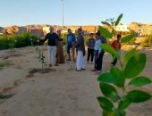 زراعة جنوب سيناء: 1000 شتلة ضمن مبادرة ١٠٠ مليون شجرة بأبوزنيمة