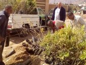 "الزراعة" بجنوب سيناء: توزيع شتلات ضمن مبادرة 100 مليون شجرة بمدينة دهب