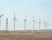 الاستثمار في المشروعات الخضراء لمواجهة تغيرات المناخ.. جهود مصرية لا تتوقف