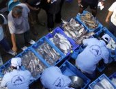 ارتفاع أسعار الأسماك والمأكولات البحرية فى بيرو بسبب الاحتفال بعيد الفصح