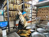 بشاير العيد.. صناعة وإعداد أسماك الرنجة من الصيد إلى التجفيف والتدخين