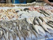 بوري وشبار.. الأسماك أشكال وألوان في السوق الحضاري ببورسعيد.. فيديو وصور