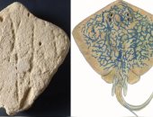 اكتشاف منحوتة رملية عمرها 130 ألف عام بجنوب أفريقيا