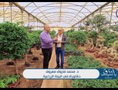 واحدة من أكبر مزارع الشرق الأوسط.. أسرار النبات هتعرفها فى "باب رزق".. فيديو