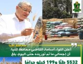 شون وصوامع المنيا تستقبل 5532 طناً من محصول القمح لموسم حصاد 2024