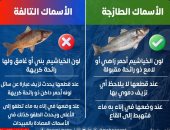 كيف تفرق بين الأسماك الطازجة والتالفة ؟ الصحة تجيب.. انفوجراف