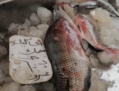 عزوف المواطنين عن شراء الأسماك يؤتى ثماره بالدقهلية.. انخفاض الأسعار للنصف