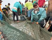 الصيادون يحصدون الأسماك فى رحلة الصيد بمياه بحر بورسعيد.. فيديو وصور