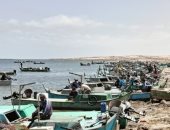 المراكب تستعد لموسم الصيد فى بحيرة البردويل على ساحل شمال سيناء.. فيديو
