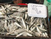 حملات مفاجئة لبائعي الأسماك في بورسعيد والتأكيد على وضع التسعيرة.. صور