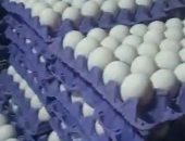 انخفاض كبير فى أسعار البيض بكفر الشيخ بنسبة تصل إلى 20%