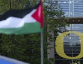 جارديان: اعتراف دول أوروبا بفلسطين يعكس تراجع دور أمريكا فى عملية السلام