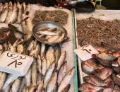 الشبار بـ60 جنيها.. انخفاض أسعار الأسماك مستمر فى بورسعيد.. فيديو وصور