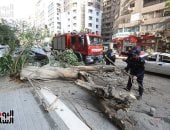 إصابة طفل سقطت على دراجته شجرة بسبب الطقس فى قنا