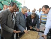محافظ المنيا: توريد 67 ألف طن حتى الآن من محصول القمح بالشون والصوامع الحكومية