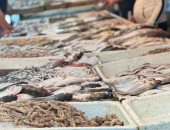 أرخص سمك في مصر.. تعرف على أسعار الأسماك في سوق بورسعيد.. فيديو وصور