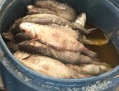 ضبط نصف طن أسماك مملحة فاسدة قبل تداولها في الأسواق بالإسماعيلية