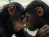 تراجع إيرادات فيلم Kingdom of the Planet of the Apes للنصف
