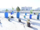 جامعة سوهاج تنجح فى تطبيق مبادرة زراعة الأسطح.. صور