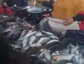 انخفاض أسعار الأسماك وزيادة الإقبال على شرائها.. فيديو 
