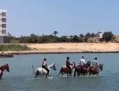 رواج سياحى لرحلات الخيول على شواطئ الغردقة.. فيديو