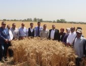 محافظ القليوبية ورئيس جامعة بنها يتفقدان حصاد القمح بكلية الزراعة
