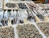 السمك صاحى.. جول داخل سوق الأسماك الحضارية بمحافظة بورسعيد.. فيديو وصور