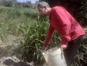 تفاصيل خطة "زراعة المنيا" لمكافحة القوارض وتقديم الدعم الفنى للمزارعين