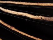 البشر فى العصر الحجرى صنعوا أسلحة خشبية فتاكة قبل 300 ألف عام