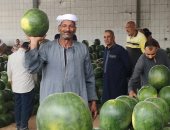 شاهد أكبر مزاد لبيع البطيخ قبلة التجار في وجه بحري بالإسكندرية.. فيديو