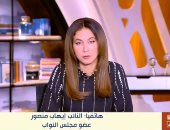 النائب إيهاب منصور: ضعف الرقابة سبب تكرار حوادث المعديات