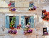 6 أفكار لدمج الزهور فى ديكور منزلك مناسبة للربيع والصيف
