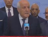 المجموعة العربية بمجلس الأمن ترحب بقرارات محكمة العدل الدولية