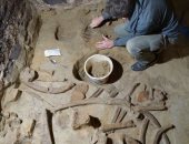 عمره 40 ألف عام.. العثور على عظام حيوان الماموث المنقرض بالنمسا