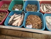انخفاض أسعار الأسماك فى أسواق المنوفية.. والبلطى بـ75 جنيها